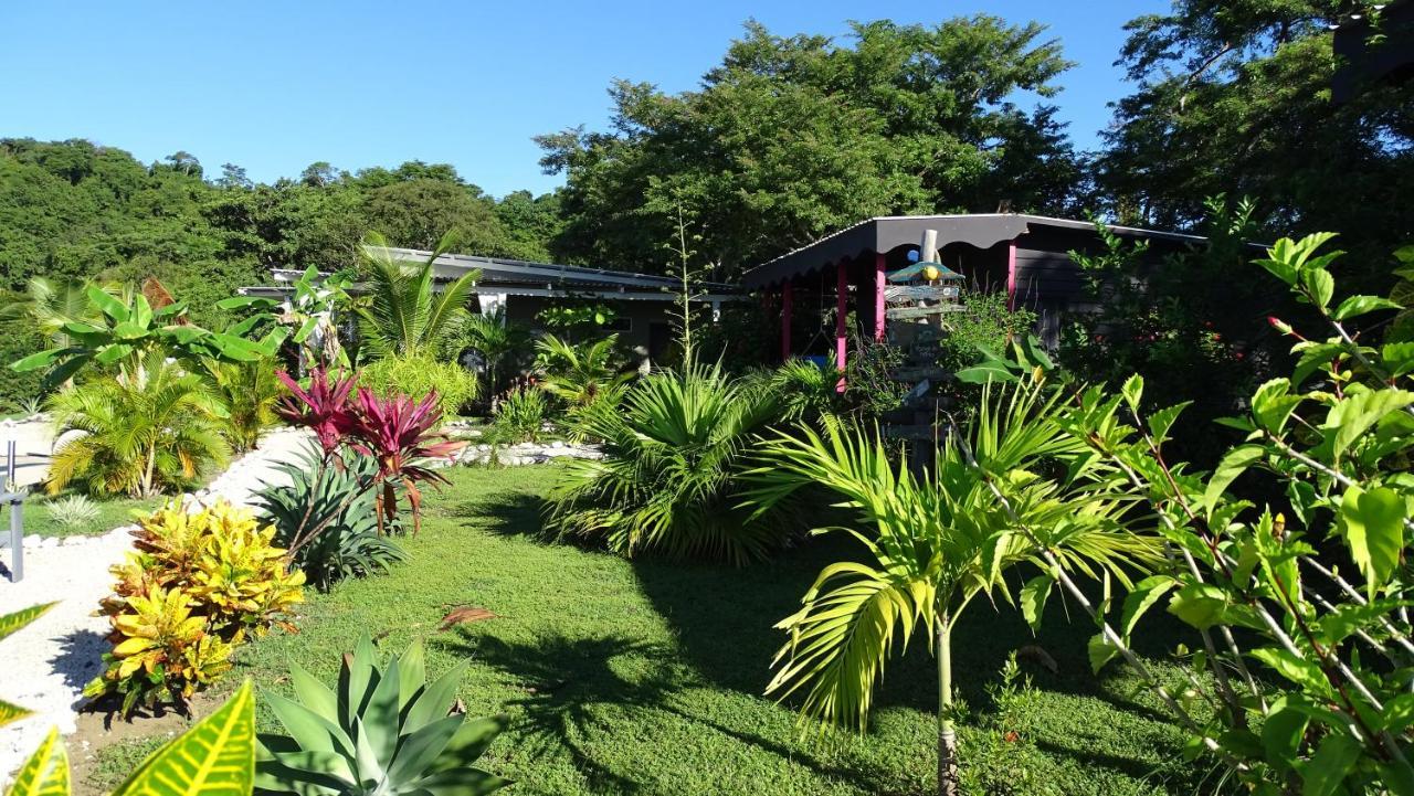 La Colina Pura Vista Acomodação com café da manhã Playa Bejuco  Exterior foto